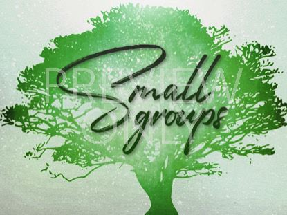 Tree Of Life Groups Still
