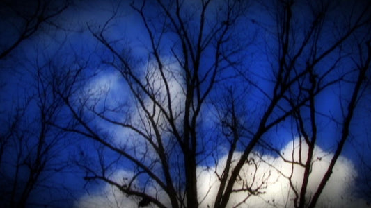 Winter Clouds