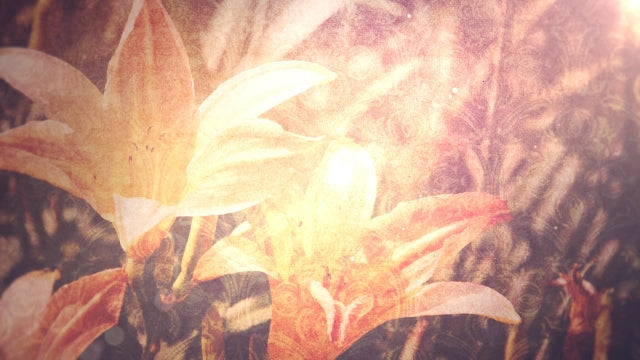 Spring Glow 02