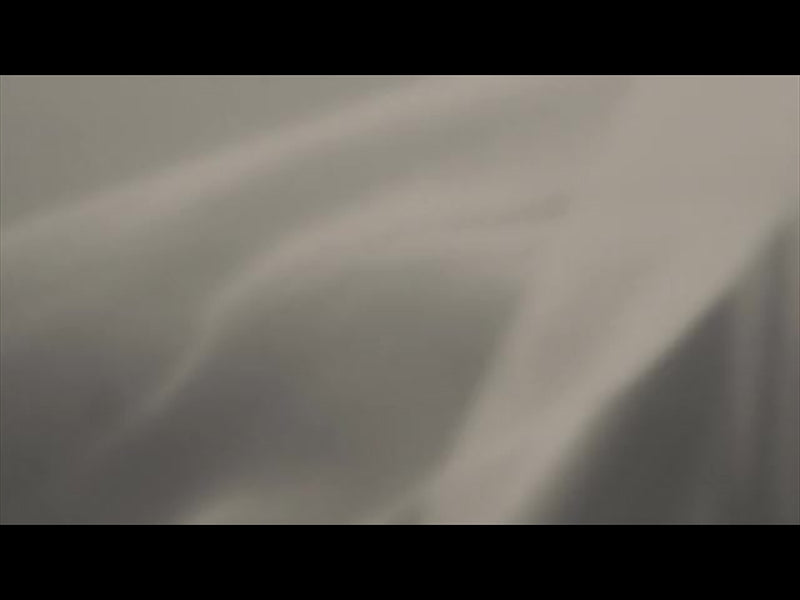 Stillness 5