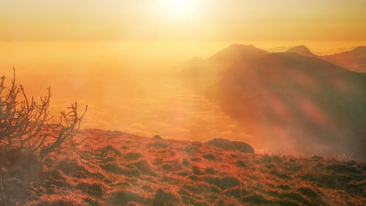 Last Light Sunrise Still