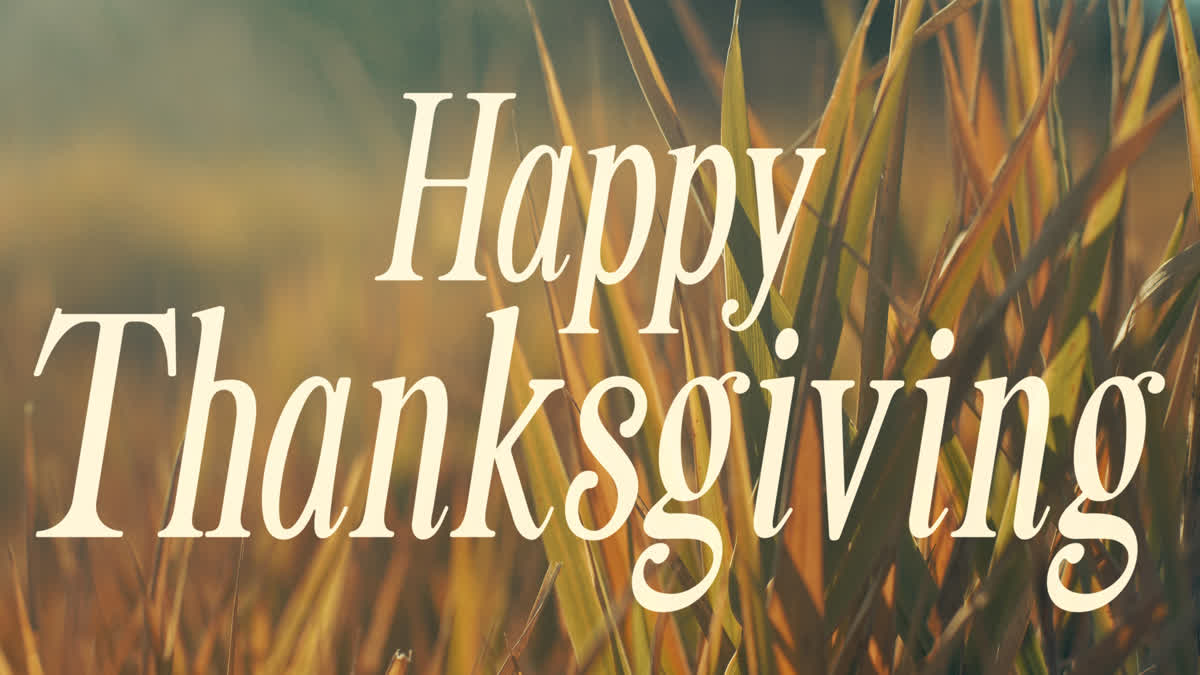 The Grass Still Thanksgiving