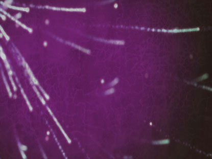 Particle Bliss 6