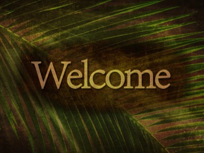 Ancient Palm Welcome 2