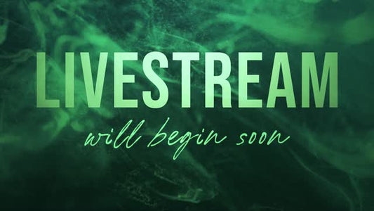 Liquid Haze Livestream