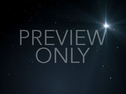 Starlight Nativity 14