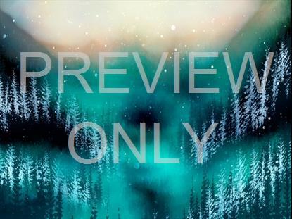 Christmas Woods 7 Still