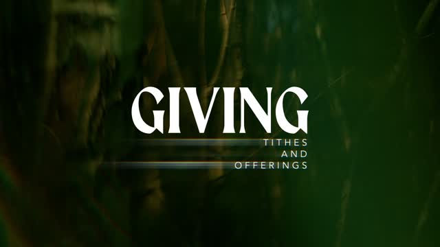 Like A Tree Giving