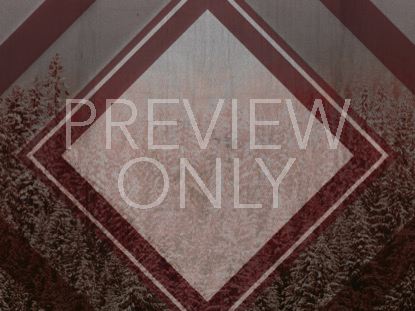 Winter Trails Red Still