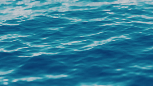Expanse Summer Still