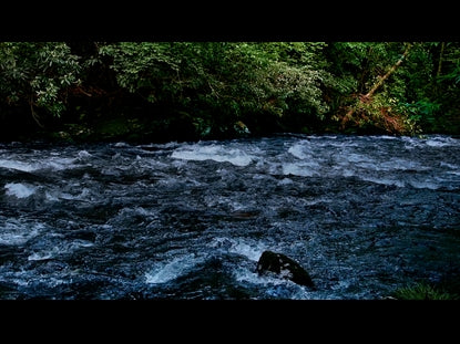 River Wild 14