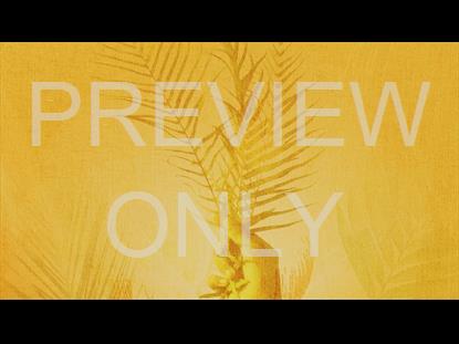 Witness His Resurrection: Painted Palm Branch Still