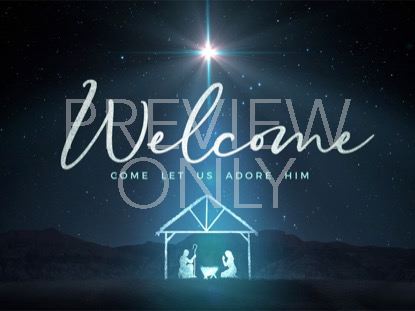 Starlight Nativity Welcome Christmas