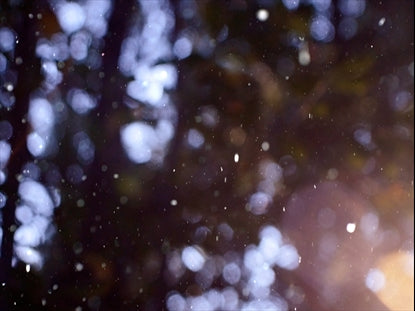 Winter Snow 16 Still