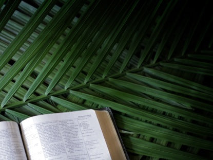 Bible Palm Sunday Branches