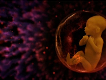 Sanctity Of Life Background Loop