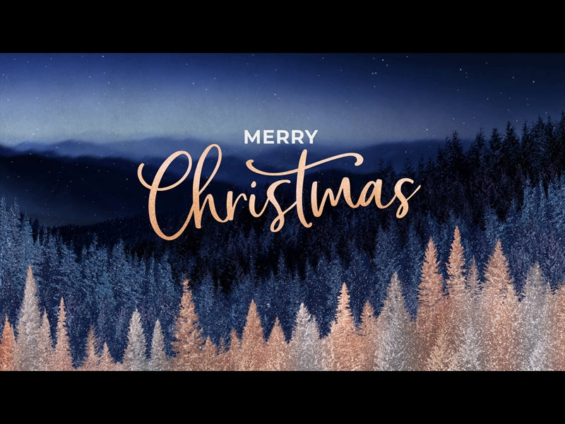 Sparkling Trees Merry Christmas