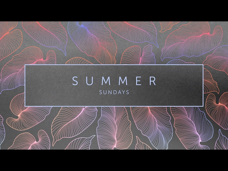 Tropical Night Summer