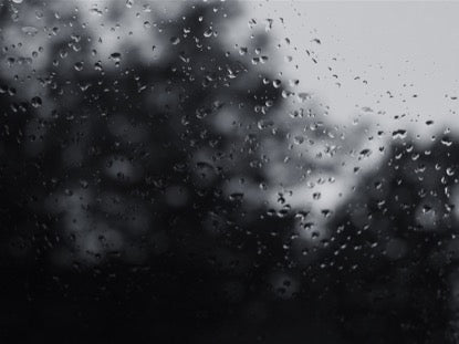 Rain On Glass B Bw