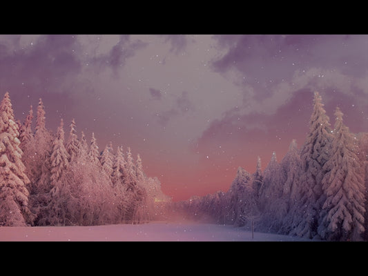 Christmas Snow 18