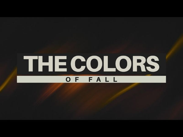 The Colors Of Fall