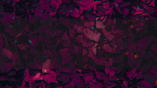 Autumn Memories 8 Alt