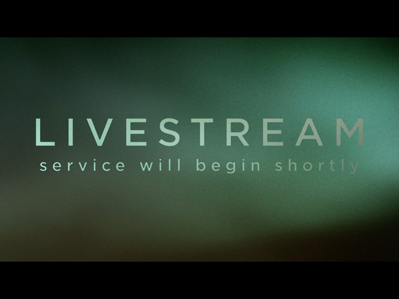 Autumn Rising Livestream