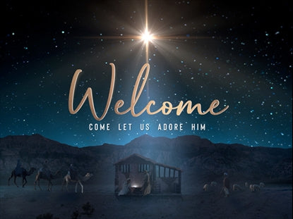 Starry Night Nativity Welcome