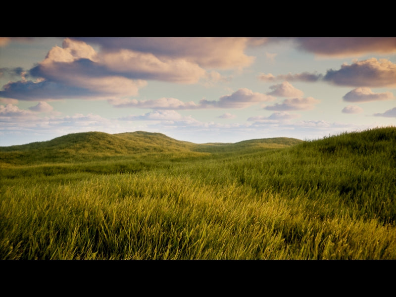 Prairie Low Flight