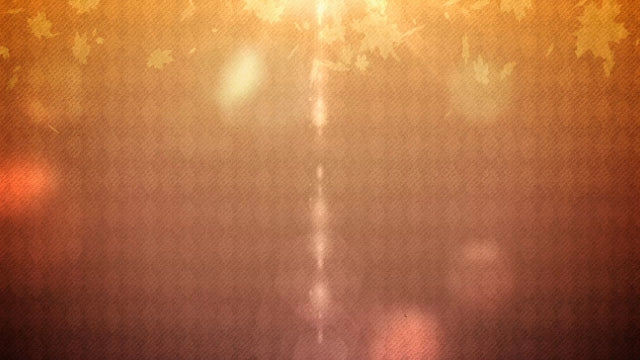 Fall Bokeh 05