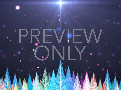 Colorful Christmas Trees Fast