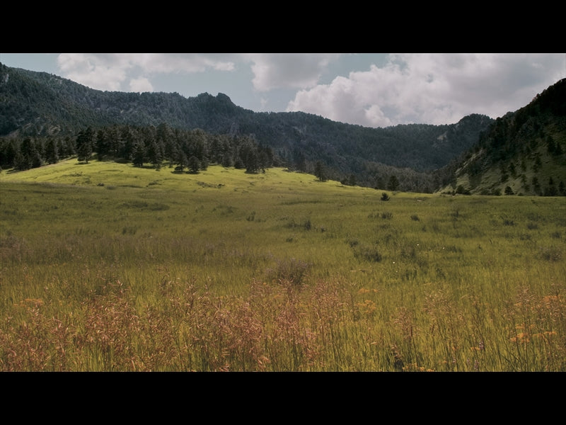 Flatirons 17