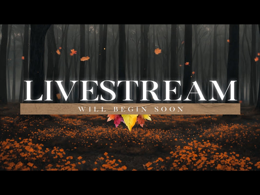 Thankful Autumn Livestream