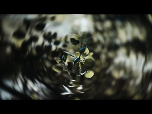 Radial Nature 3