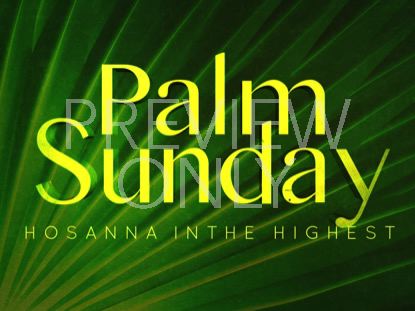 Radiant Palms Still 2