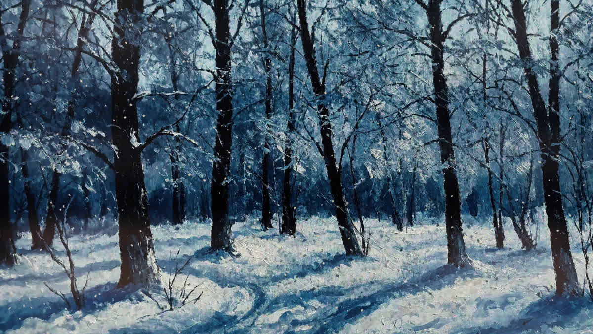 Snow Day 8