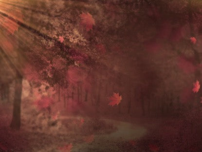 Fall Background 3 Loop Vol 4