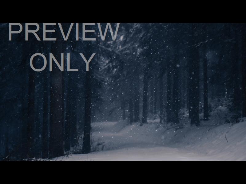 Snow Shimmer: 10 Still
