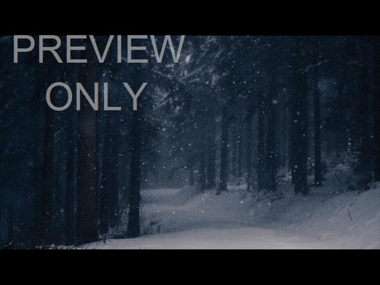 Snow Shimmer: 10 Still