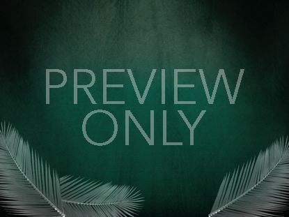 Redemption Palm Still