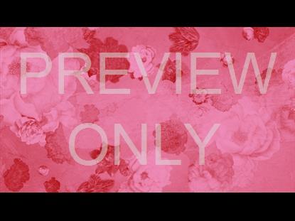 Who You Say I Am Still 10