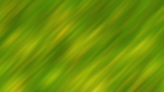 Springtime Bloom 9