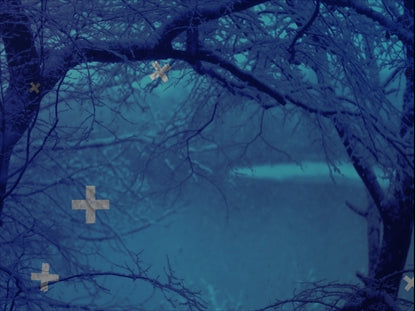 Blue Winter Tree Frame
