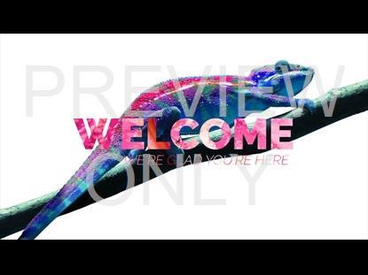 Chameleon  Welcome Still