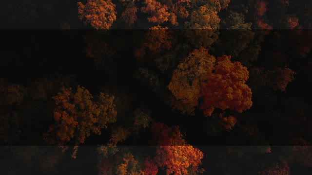 Autumn Foliage 5 Alt