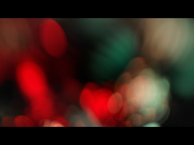 Christmas Ornamental 2