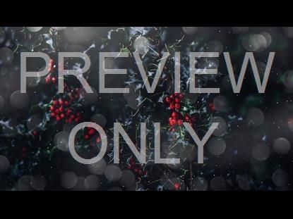 Christmas Still