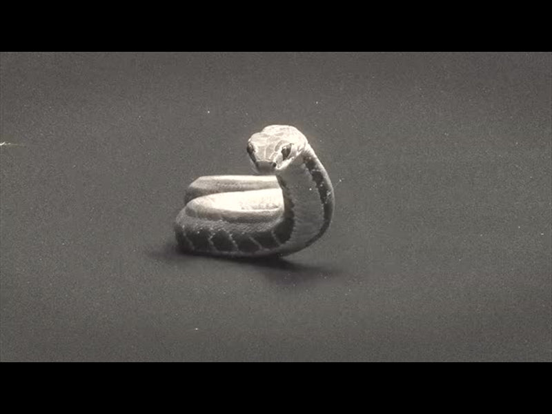 Bible Animals 2 Snake Bw