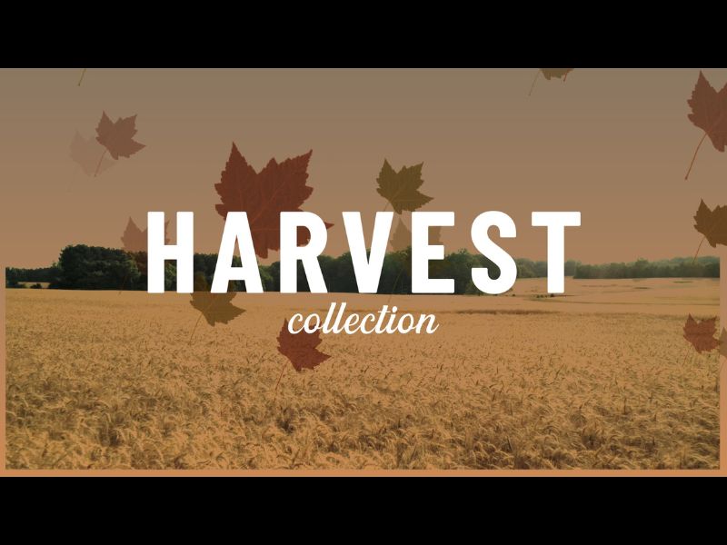Harvest Collection