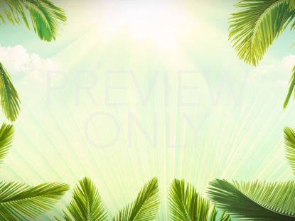 Palm Sunday Background Still